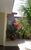 Casa, 2 quartos, 149 m² - Foto 5