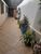 Casa, 3 quartos, 145 m² - Foto 8