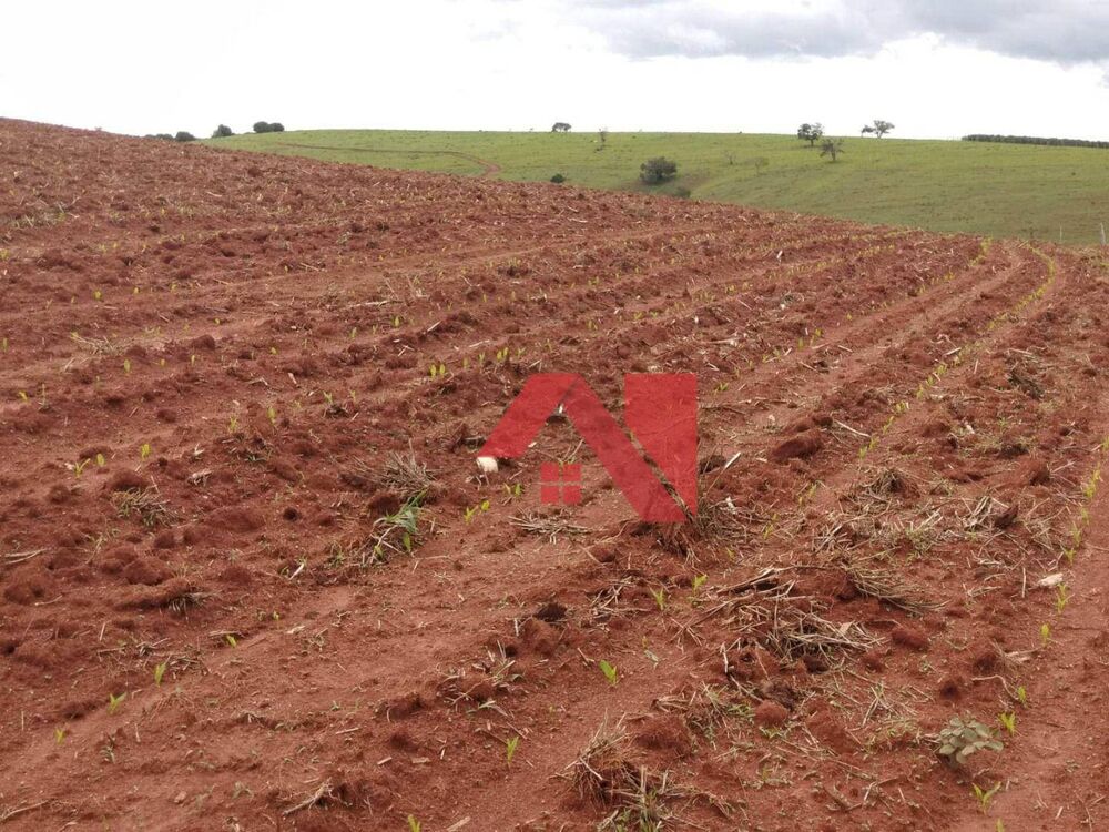 Fazenda, 18 hectares - Foto 1