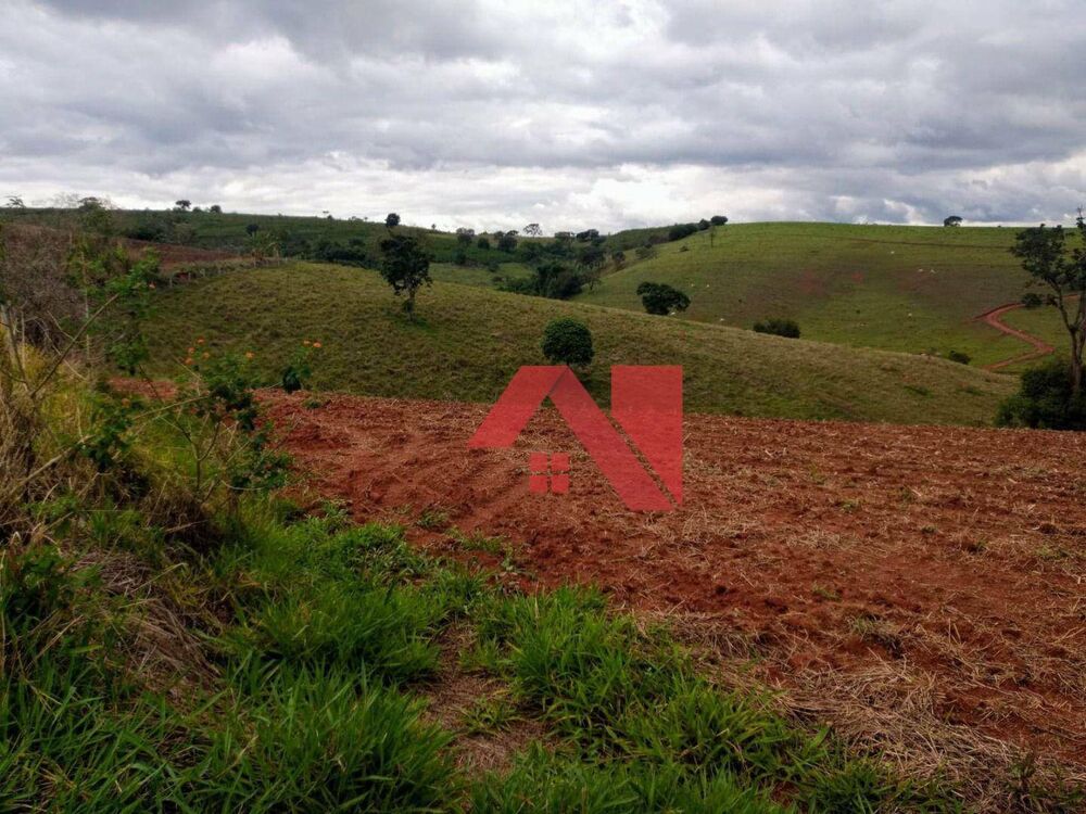 Fazenda, 18 hectares - Foto 15
