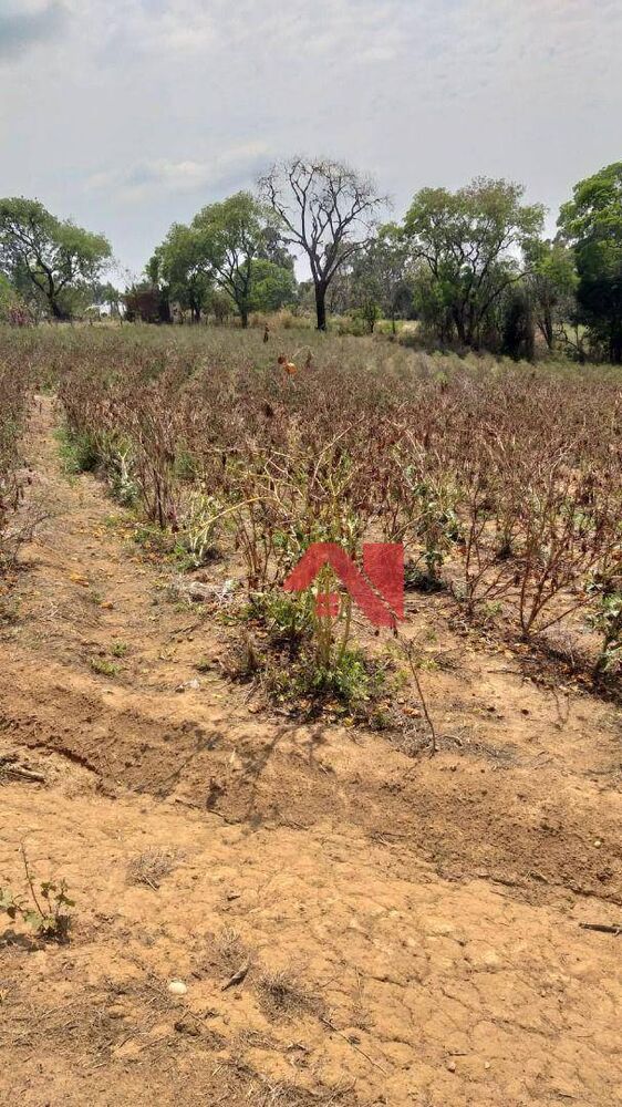 Terreno, 2000 m² - Foto 3