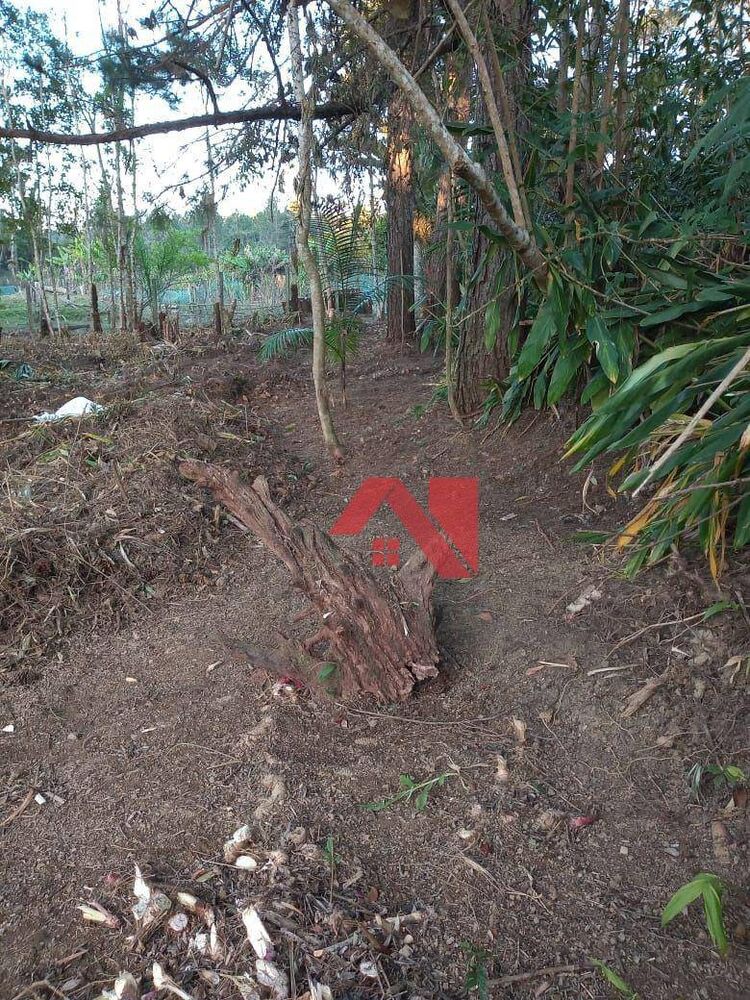 Terreno, 1 hectares - Foto 2