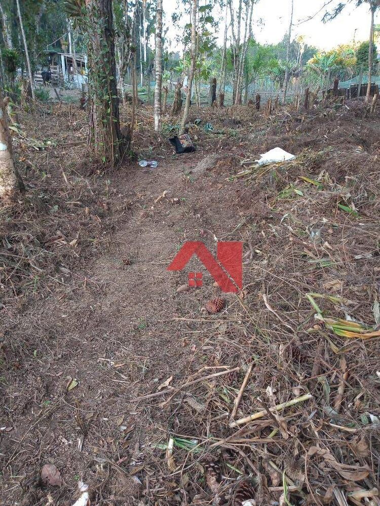 Terreno, 1 hectares - Foto 1