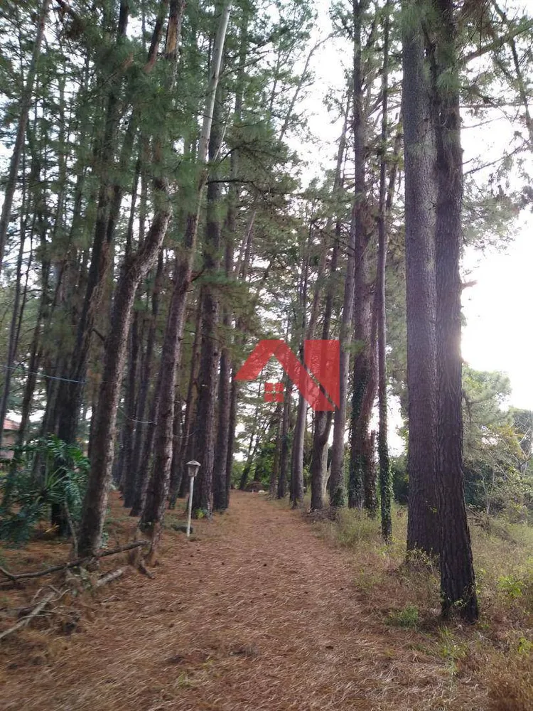 Chácara, 1 quarto, 3 hectares - Foto 6