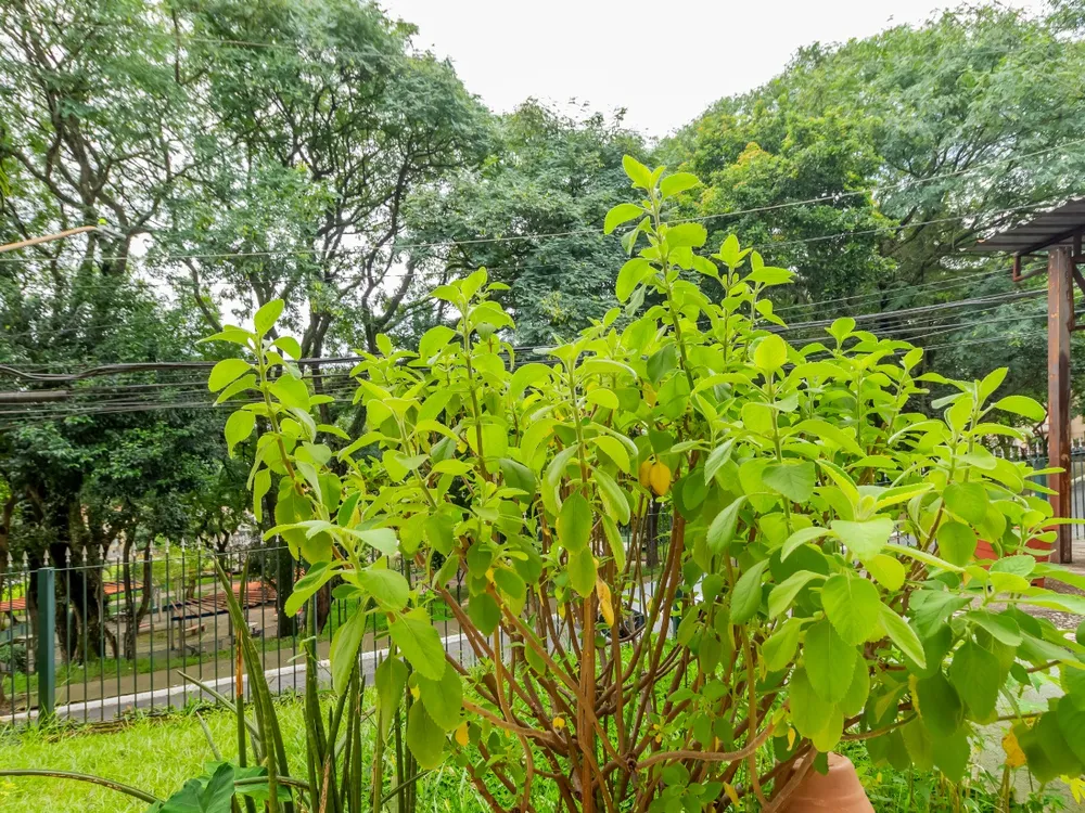 Apartamento, 3 quartos, 93 m² - Foto 1