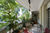 Apartamento, 3 quartos, 292 m² - Foto 7