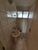 Apartamento, 3 quartos, 94 m² - Foto 11