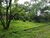 Terreno, 50 m² - Foto 1