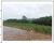 Terreno, 50 m² - Foto 1