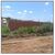 Terreno, 50 m² - Foto 1
