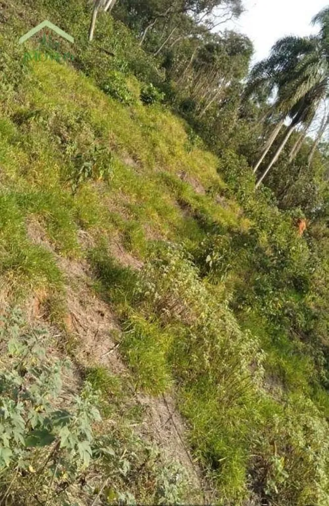 Terreno, 1125 m² - Foto 3