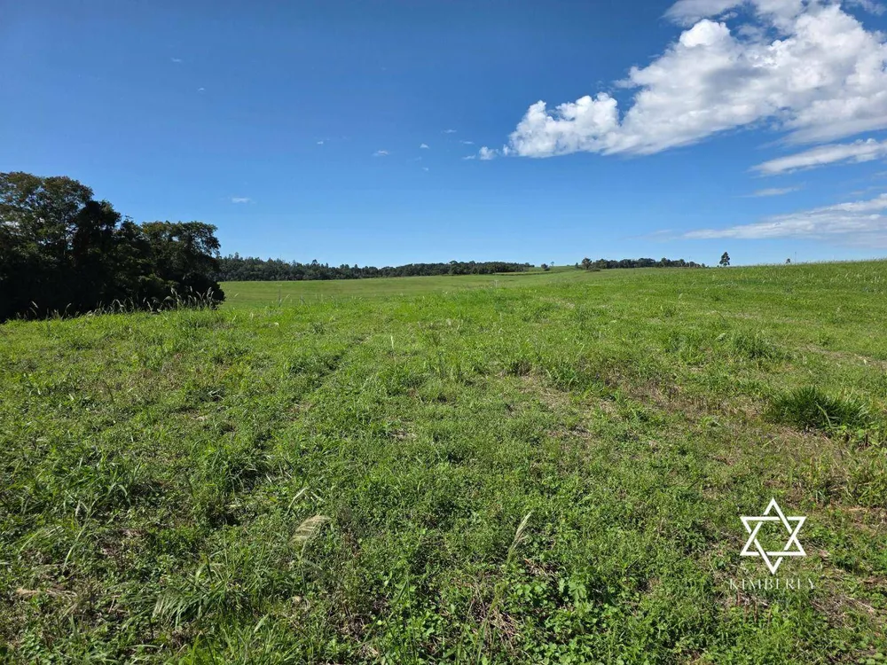 Fazenda, 60 hectares - Foto 3