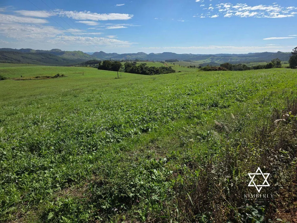Fazenda, 60 hectares - Foto 2