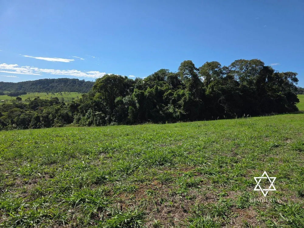Fazenda, 60 hectares - Foto 6
