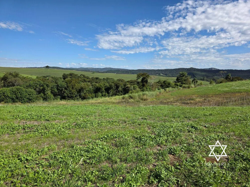Fazenda, 60 hectares - Foto 1
