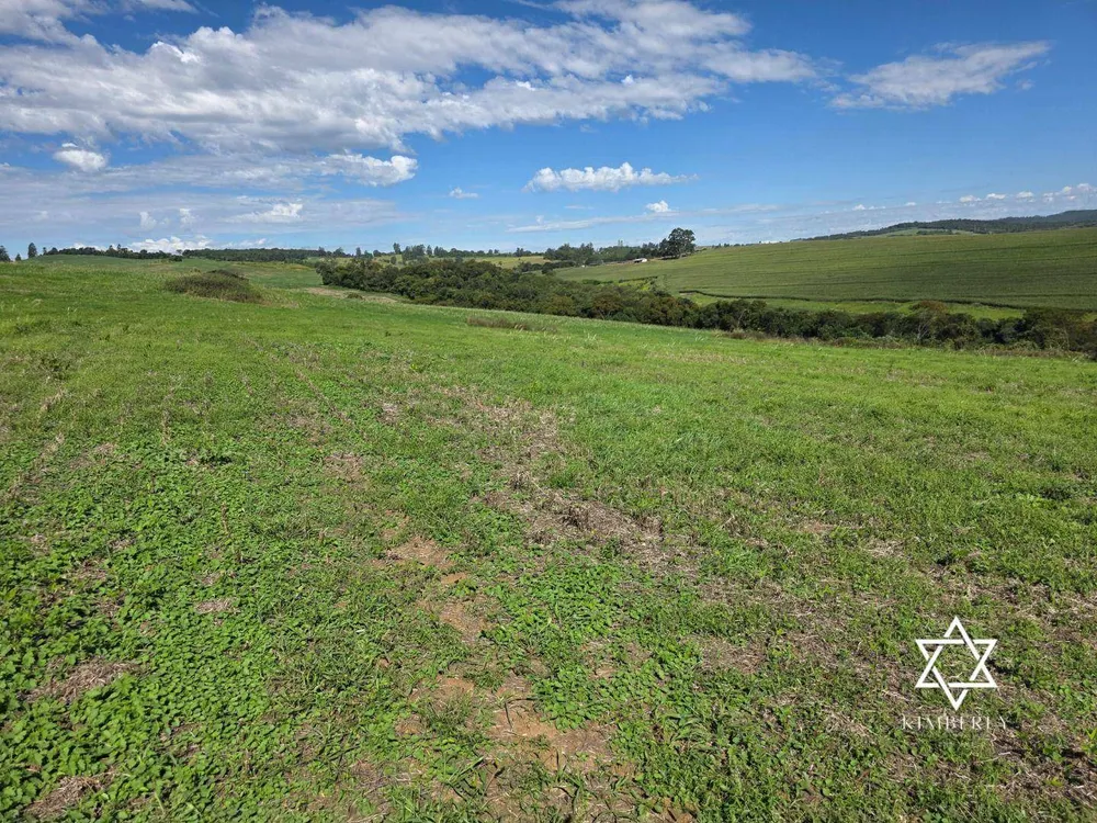 Fazenda, 60 hectares - Foto 4