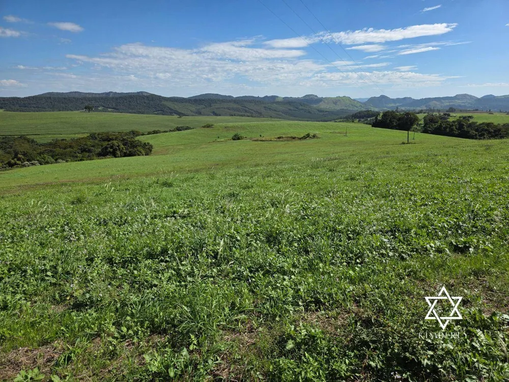Fazenda, 60 hectares - Foto 2