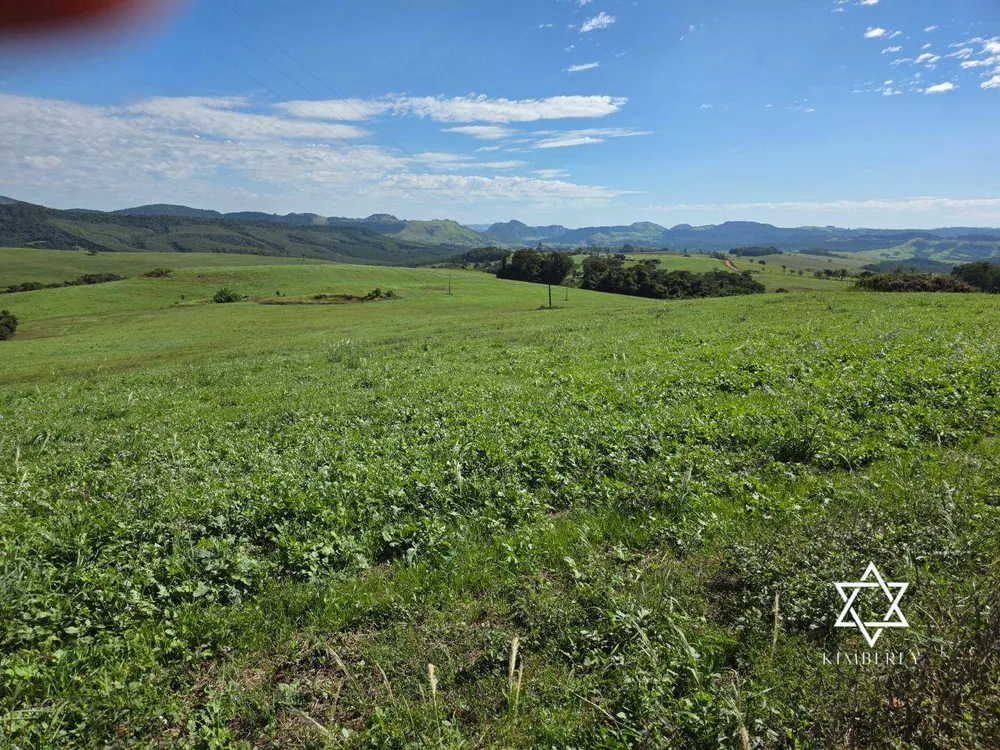 Fazenda, 60 hectares - Foto 4