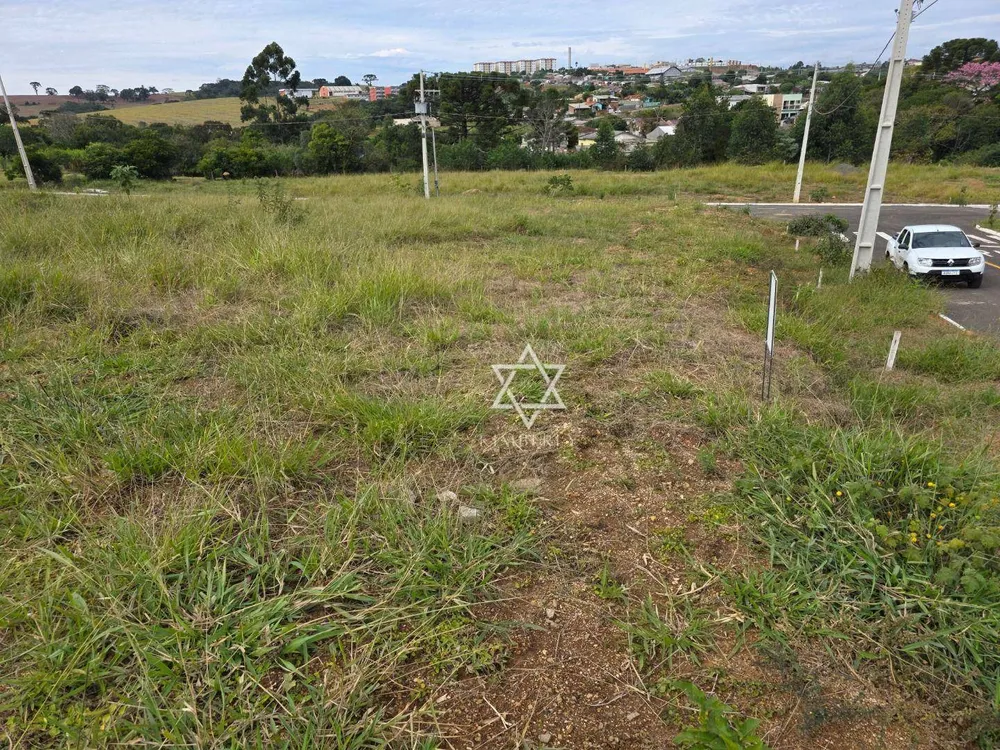Terreno, 250 m² - Foto 2