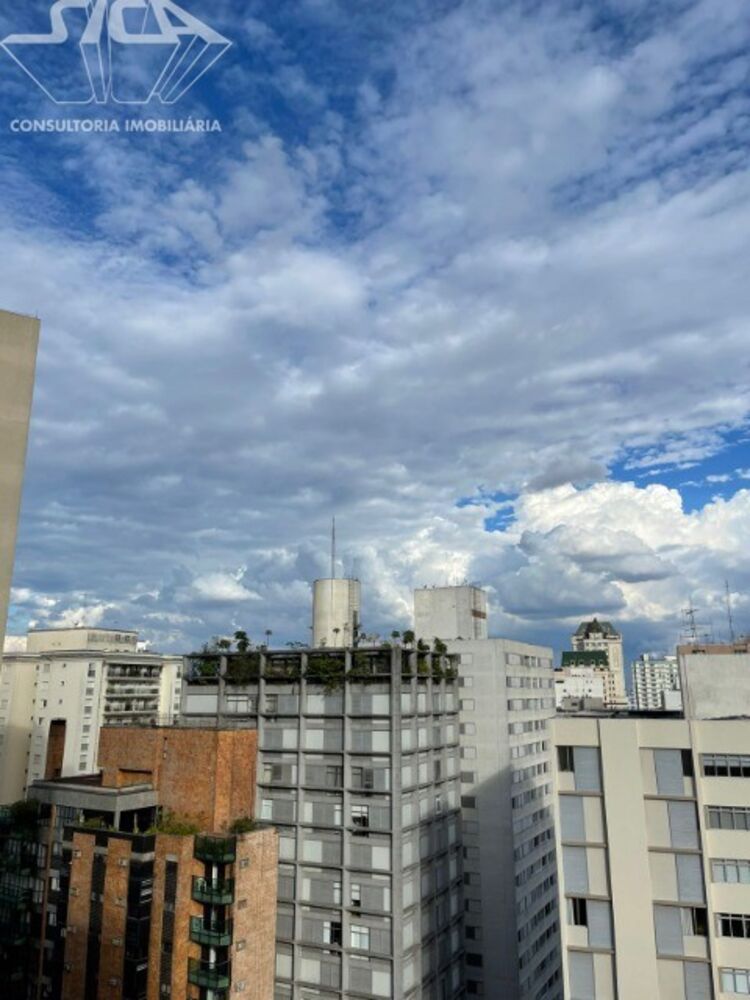 Apartamento, 3 quartos, 265 m² - Foto 2