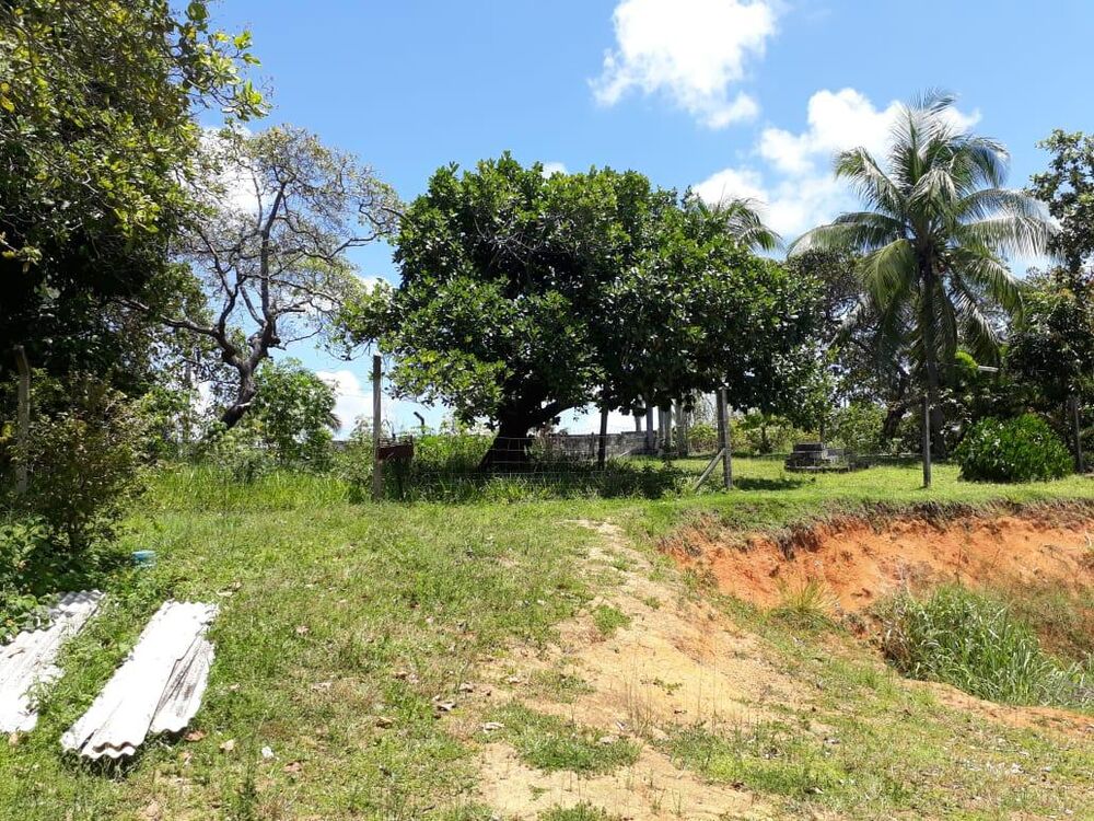 Sítio, 4 quartos, 2 hectares - Foto 2