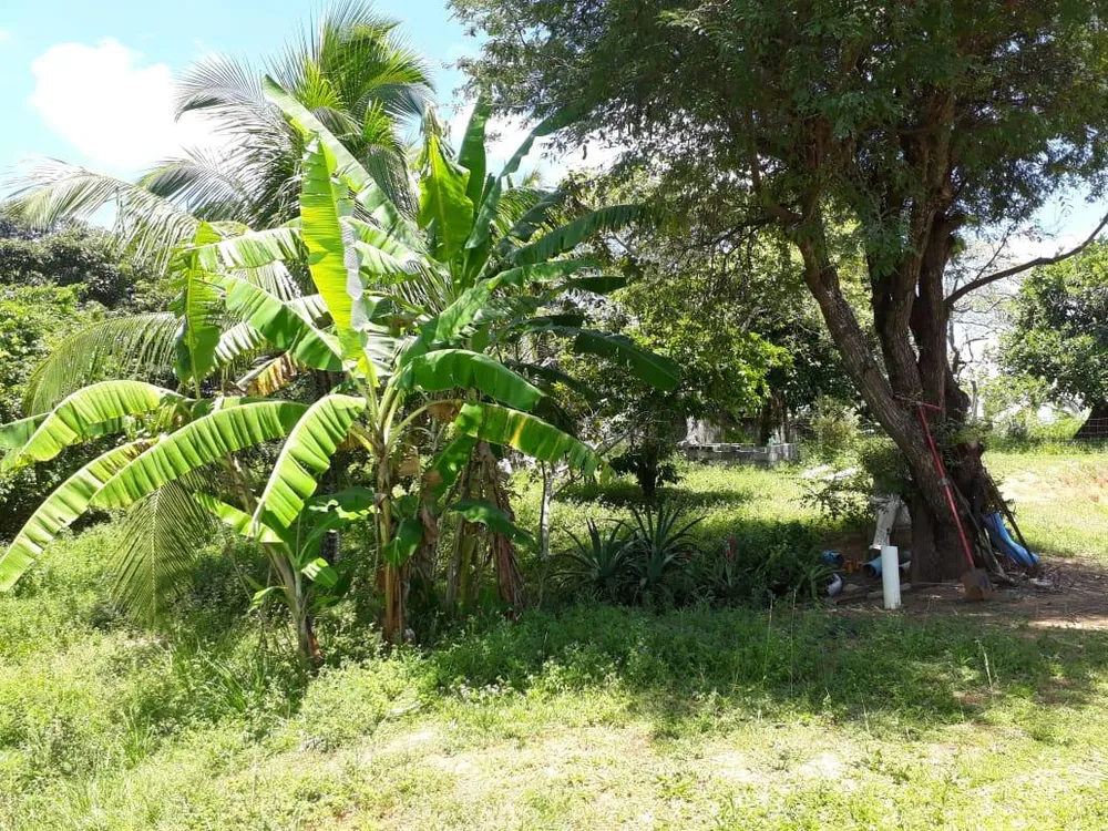 Sítio, 4 quartos, 2 hectares - Foto 11