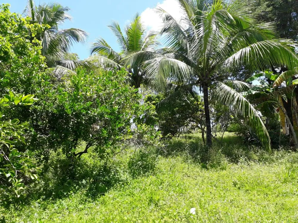 Sítio, 4 quartos, 2 hectares - Foto 13
