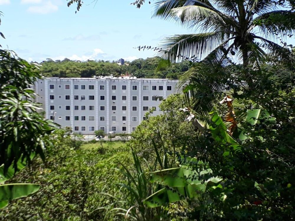 Sítio, 4 quartos, 2 hectares - Foto 3