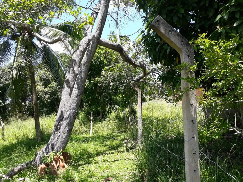 Sítio, 4 quartos, 2 hectares - Foto 15