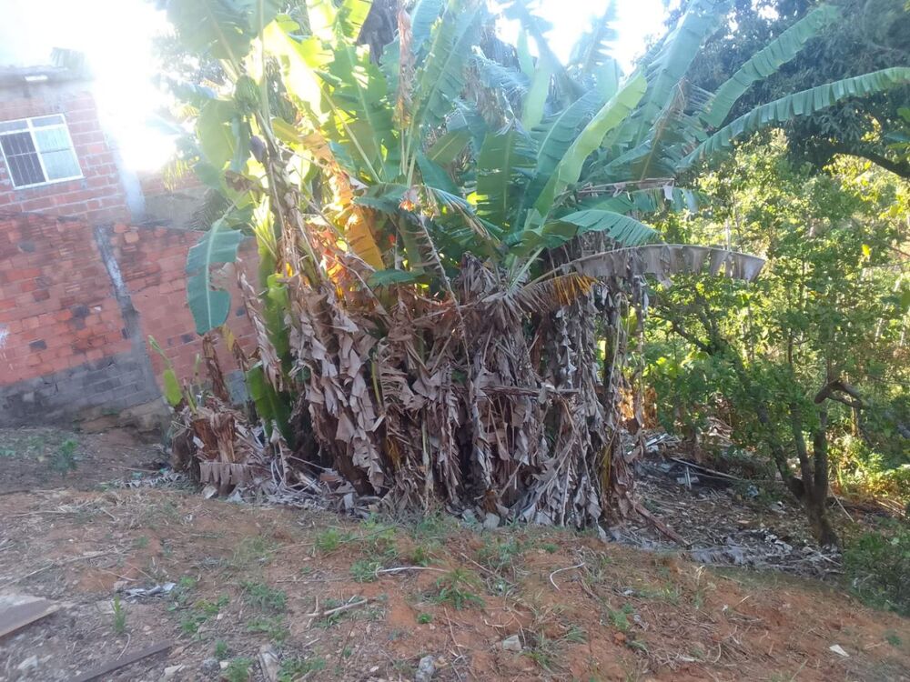 Terreno, 800 m² - Foto 3