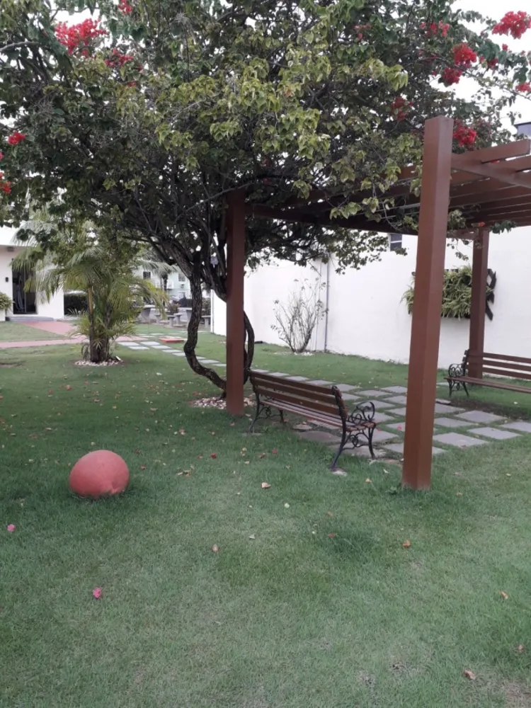 Apartamento, 3 quartos - Foto 12