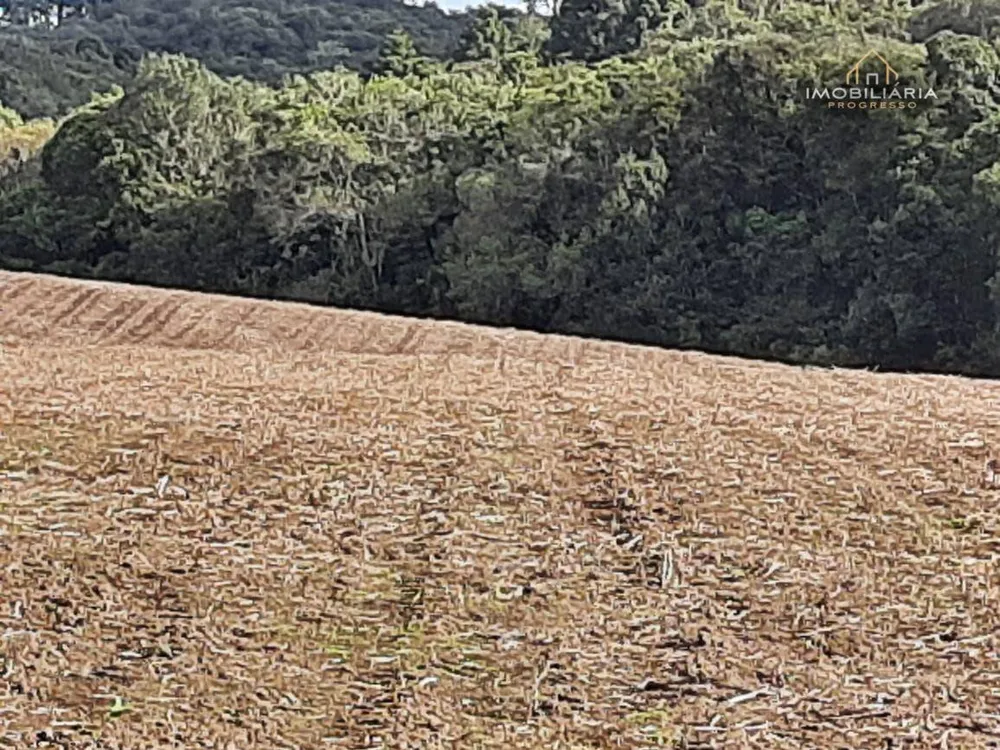 Terreno, 7 hectares - Foto 3