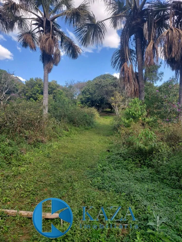 Chácara, 7 quartos, 8000 m² - Foto 14