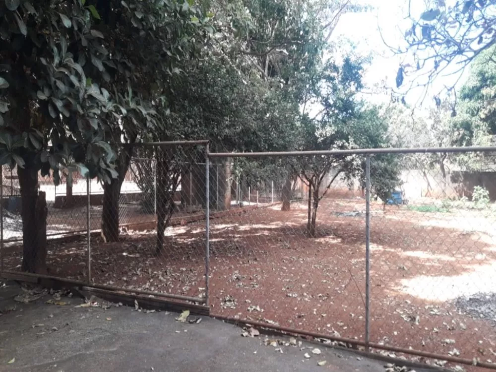 Chácara, 4 quartos - Foto 13