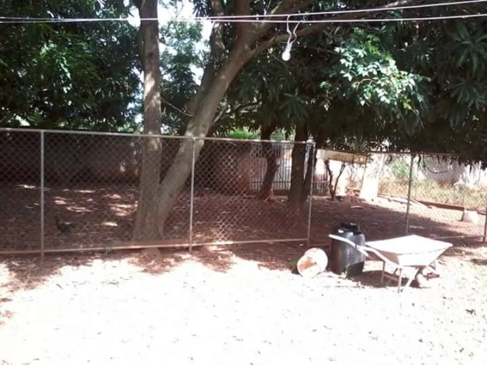 Chácara, 4 quartos - Foto 11