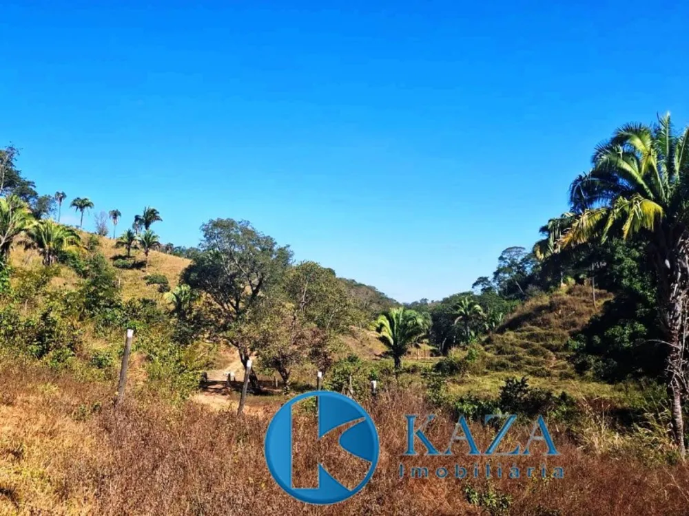 Fazenda, 87 hectares - Foto 1