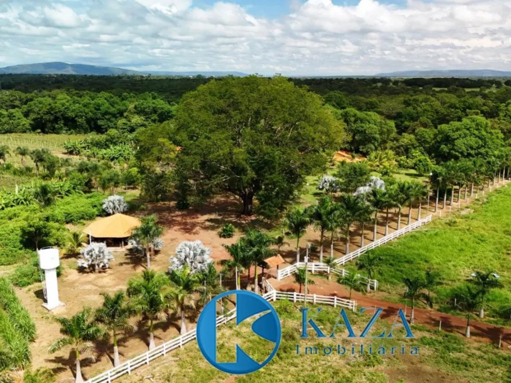 Fazenda, 33 hectares - Foto 4