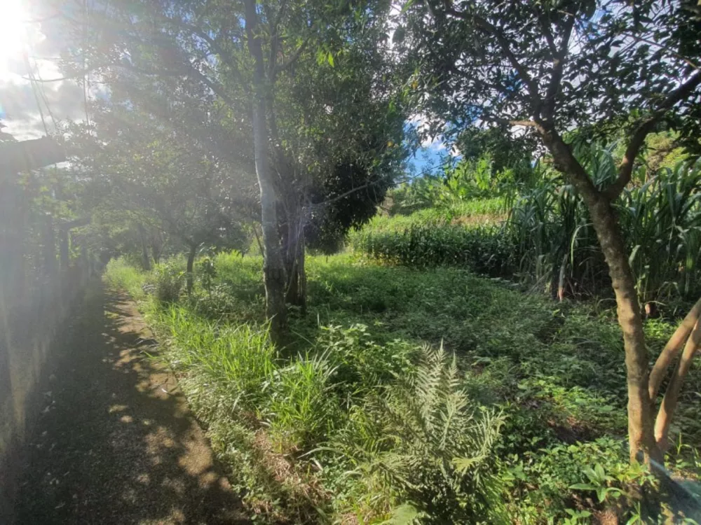 Terreno, 3375 m² - Foto 16