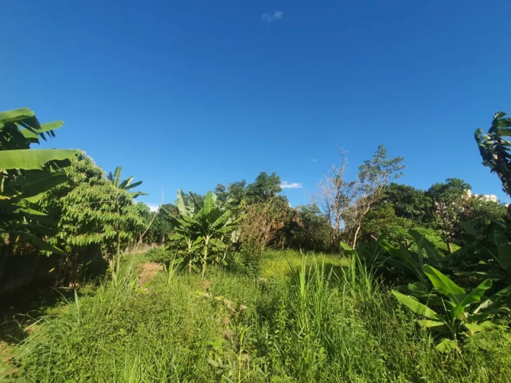 Terreno, 3375 m² - Foto 17