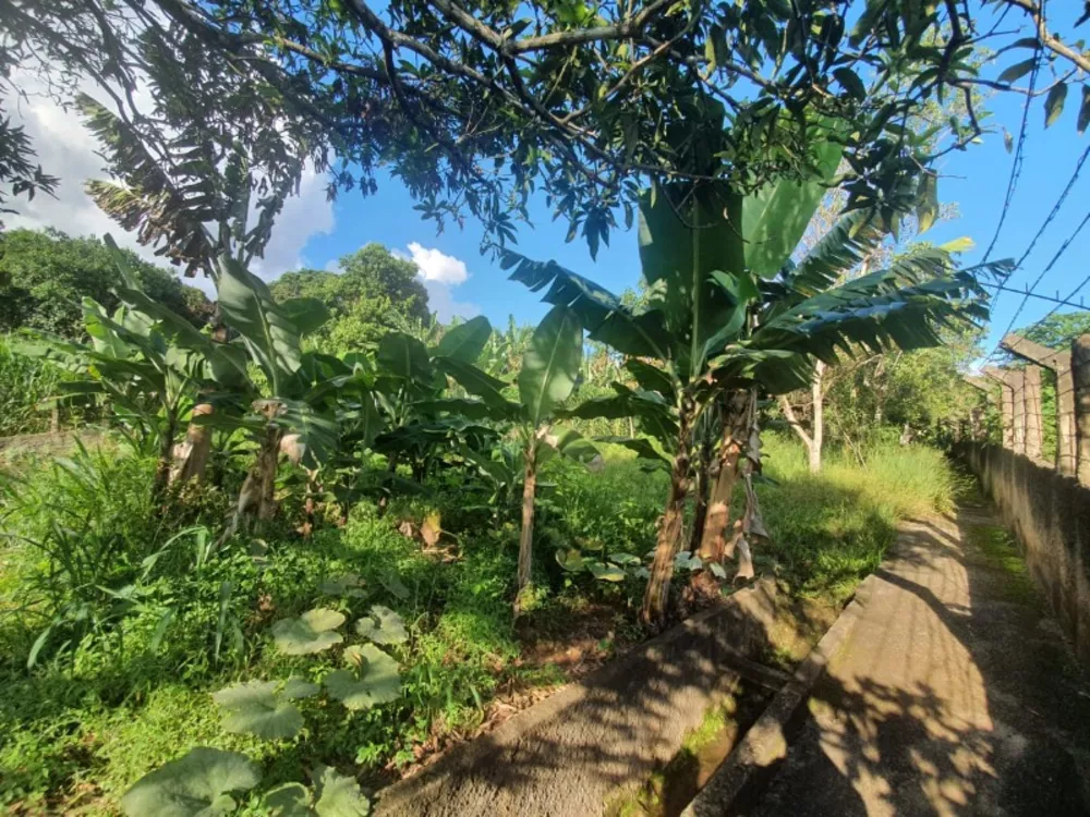 Terreno, 3375 m² - Foto 12