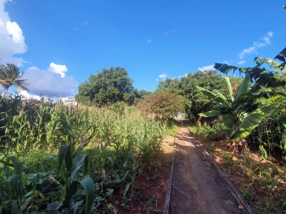 Terreno, 3375 m² - Foto 3