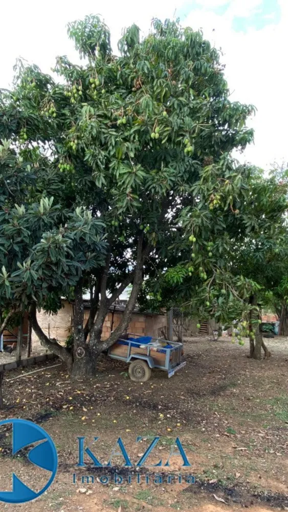 Chácara, 3 quartos, 4800 m² - Foto 11