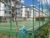 Apartamento, 3 quartos, 72 m² - Foto 2