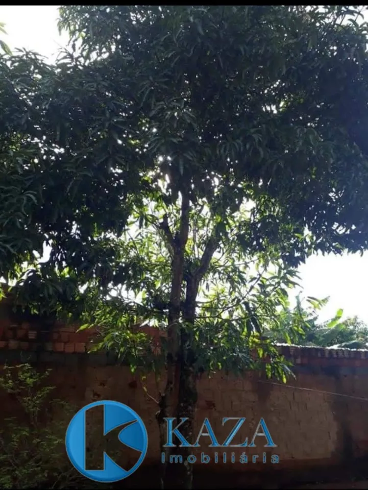 Chácara, 2 quartos - Foto 9