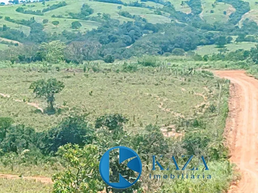 Fazenda, 53 hectares - Foto 10