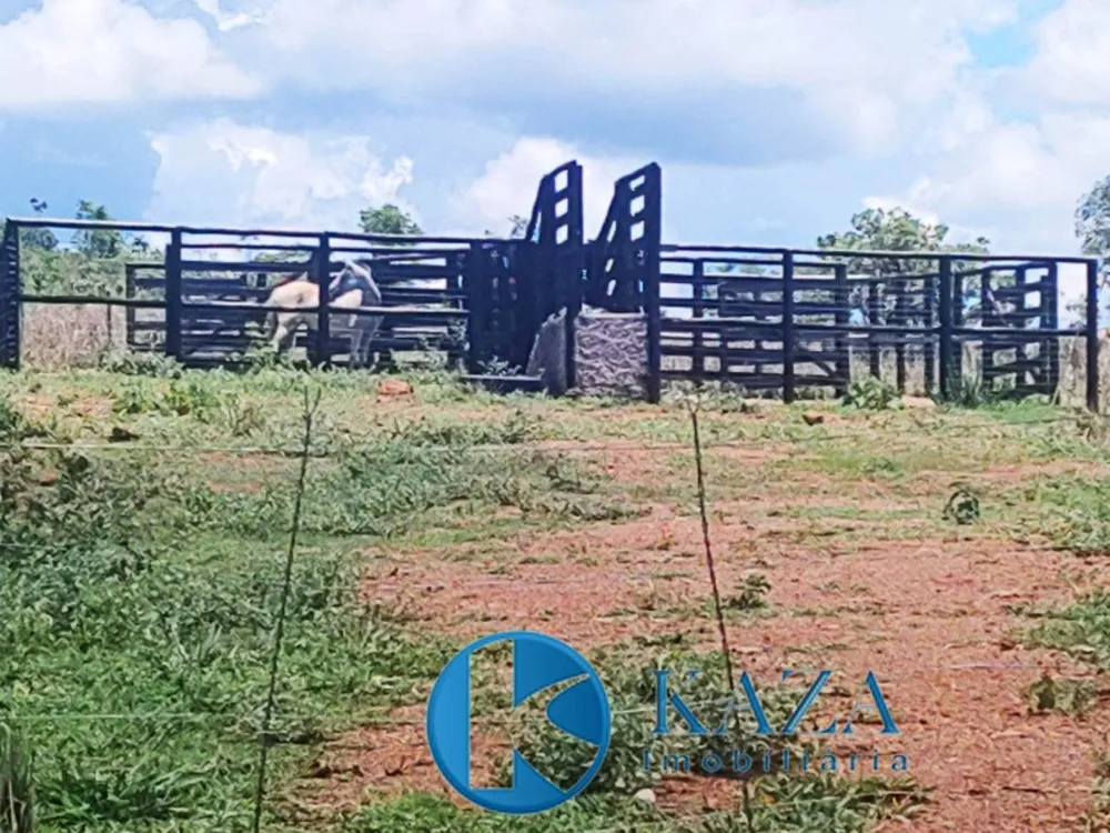Fazenda, 53 hectares - Foto 6