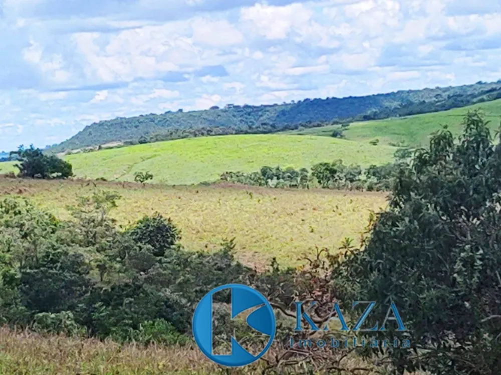 Fazenda, 53 hectares - Foto 1
