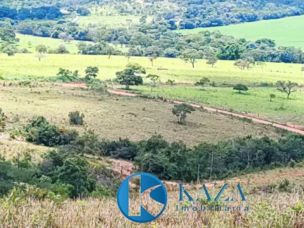 Fazenda, 53 hectares - Foto 4