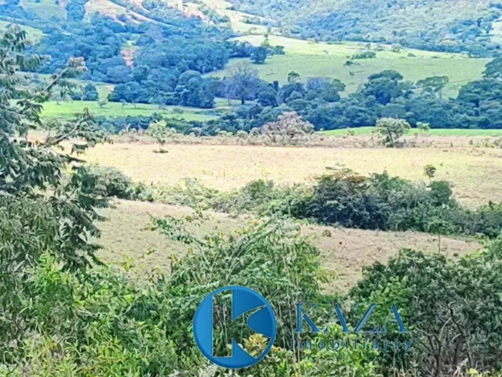 Fazenda, 53 hectares - Foto 7