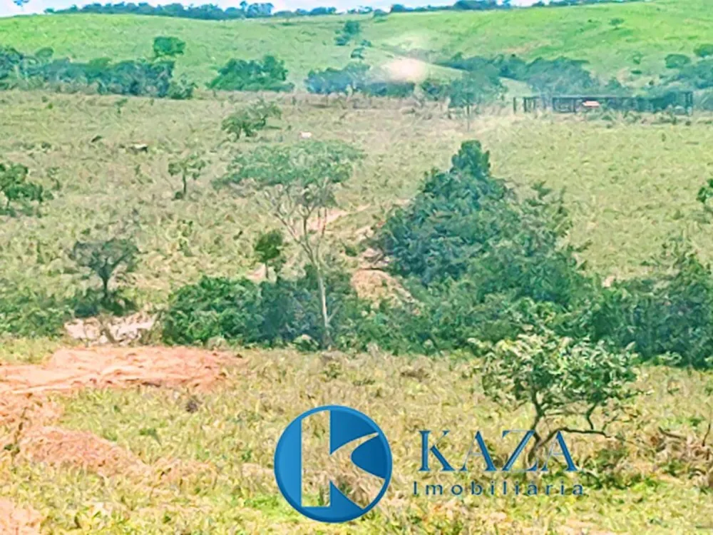 Fazenda, 53 hectares - Foto 8